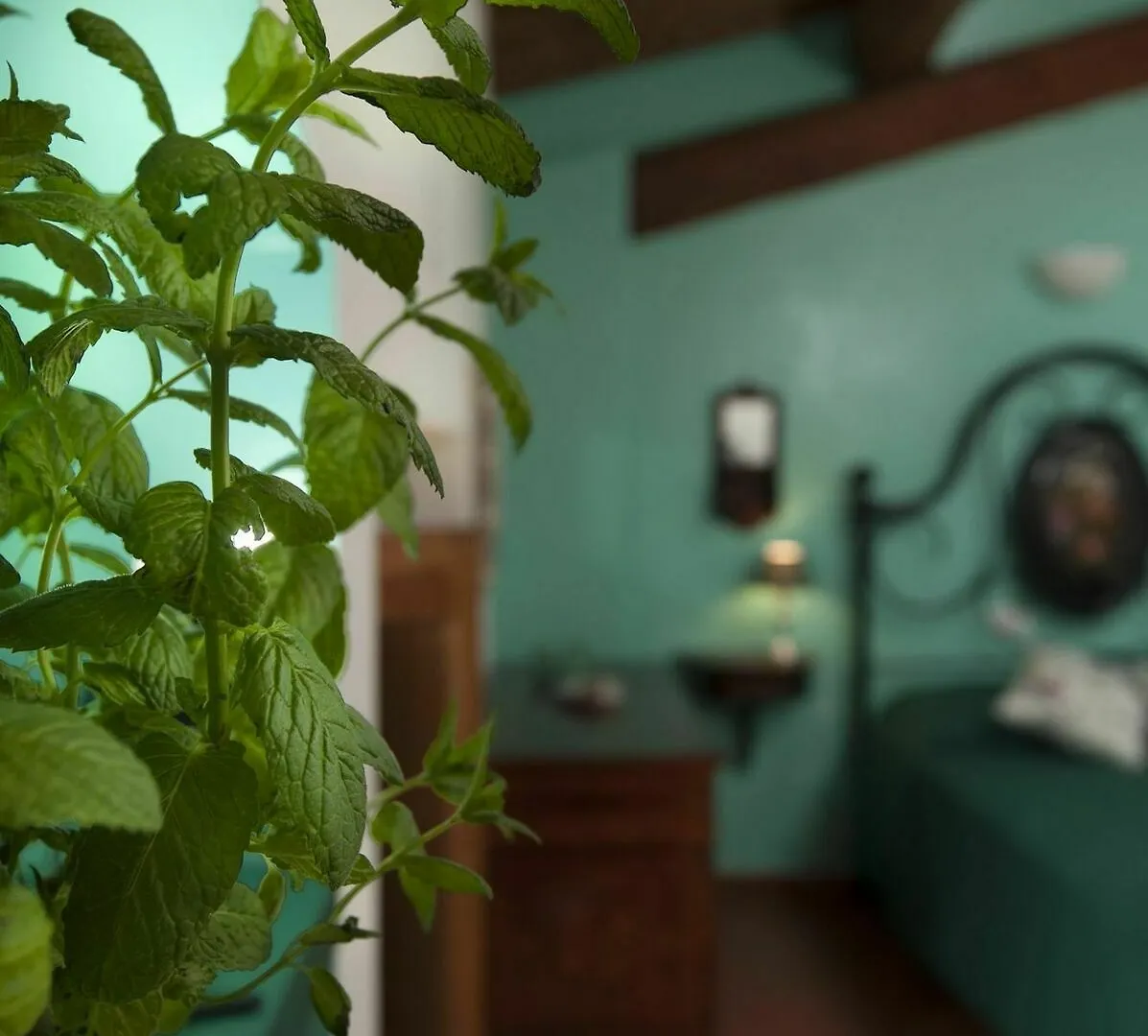 Antico Granaione Bed & Breakfast Rapolano Terme