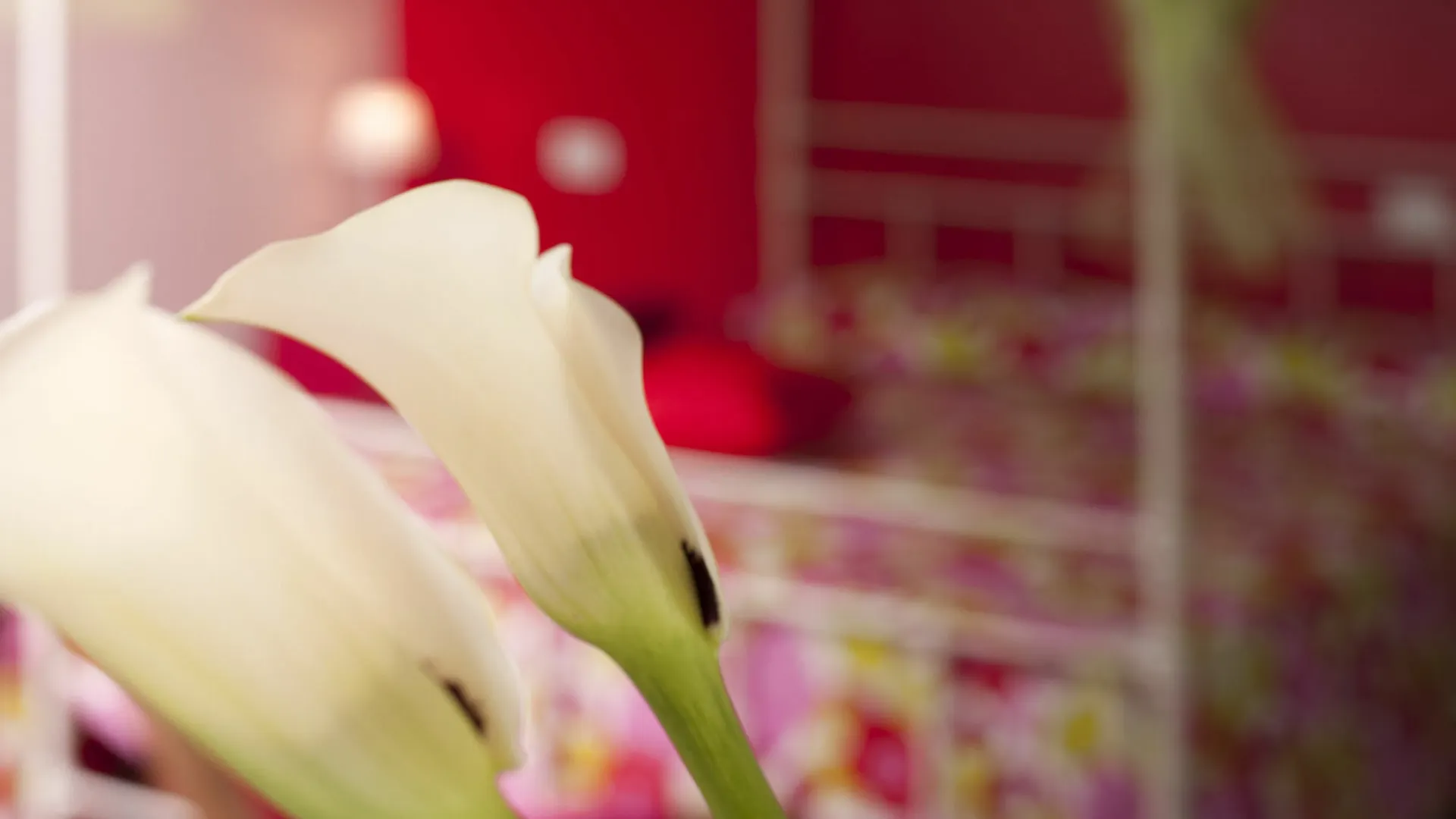 Antico Granaione Bed & Breakfast Rapolano Terme